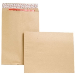 16x12 Gusset Plain & Window Envelopes