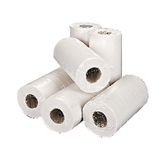 2Work Hygiene Roll 250mmx40m Wht P18