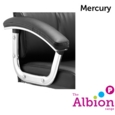 Mercury Executive Leather Chair with arms and headrest