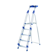 Blueseal 5-Trd Prof Step Ladder