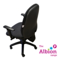 Blenheim Task Chair with Task Adjustable Arms