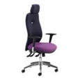 Buckingham Executive Chair C/W arms + multi-adj headrest