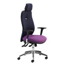 Buckingham Executive Chair C/W arms + multi-adj headrest