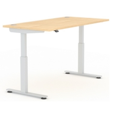 ErgoFlo Height Adj W/Stn Cantilever 1600mm Elec