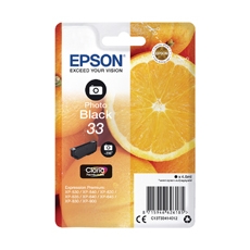 Epson 33 Ink Cartridge Photo Black