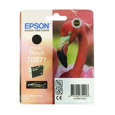 H Epson Sty Photo R1900 T087