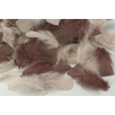 Natural Feathers 20G