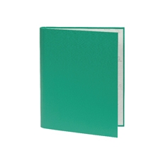 Guidhall 2 Ring Binder Grn 30mm Pk10