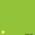 Kaskad 80gsm A4 Parakeet Green