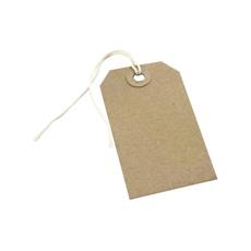 Strung Tags 146X73Mm Buff