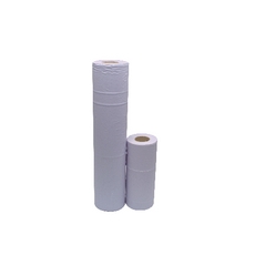 2Work 2Ply Hygne Roll Blu 10In Pk24