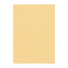 Decadry Paper 95g Pk100 Parchment Gold