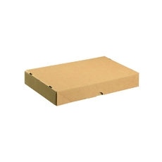 Carton/Lid 305x215x50mm Brn Pk10