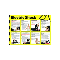 Signslab 420X590 Elec Shock Poster