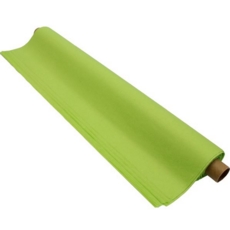 Tissue Light Green 48 Sheets50