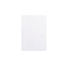 Tyvek Peal/Seal Env C5 Wht Pk100