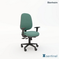 Blenheim Task Chair with Task Adjustable Arms