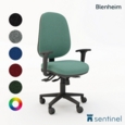 Blenheim Task Chair with Task Adjustable Arms